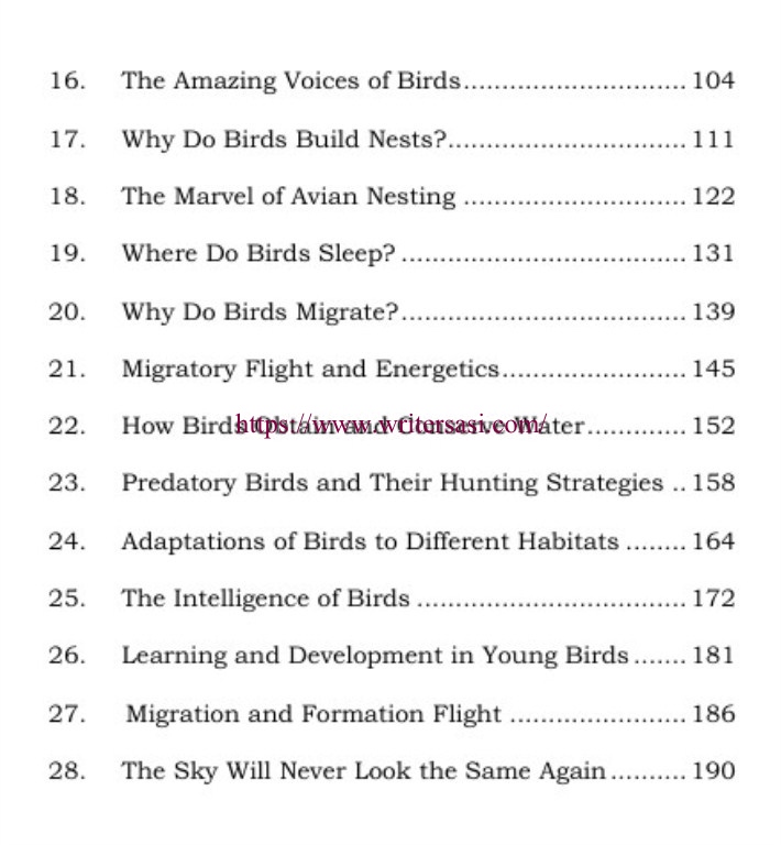 The Amazing World of Birds - Image 3